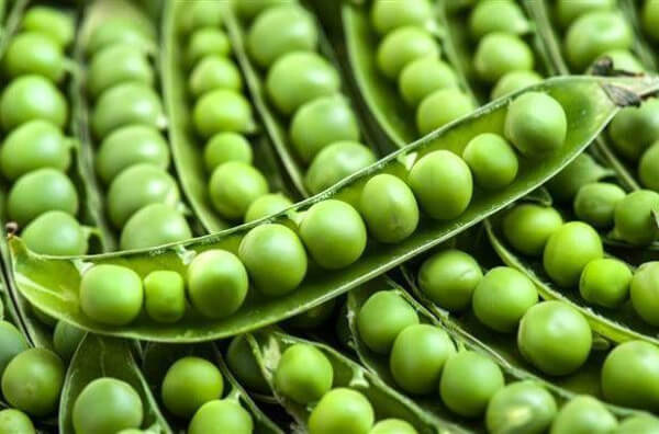 Ervilhas verdes — não só para saladas
